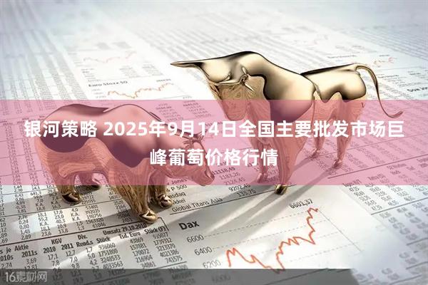 银河策略 2025年9月14日全国主要批发市场巨峰葡萄价格行情